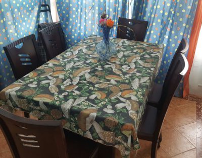 Appartement a achakar TANGER